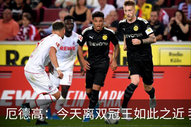 厄德高：今天离双冠王如此之近 我们22年来首次赢得了联赛冠军