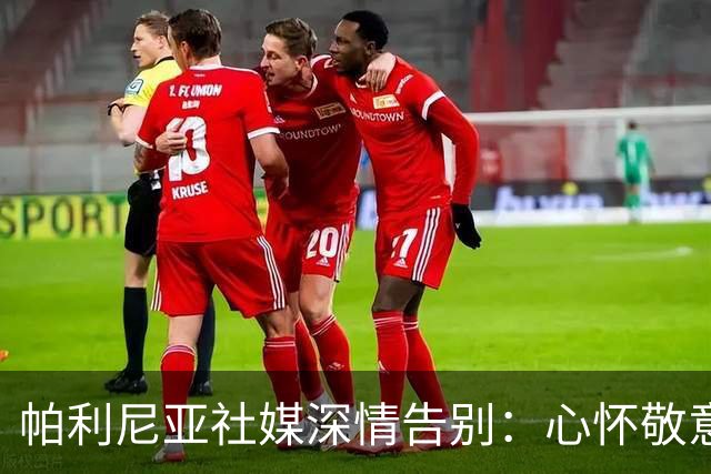 帕利尼亚社媒深情告别：心怀敬意与感恩，我向热刺家人们正式道别