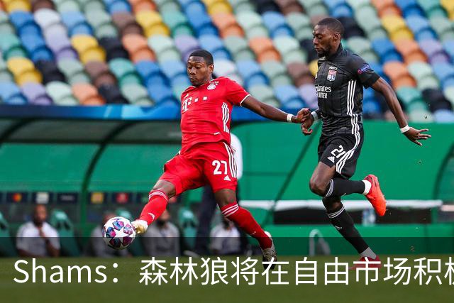 Shams：森林狼将在自由市场积极补强4号位 但他们只能提供底薪